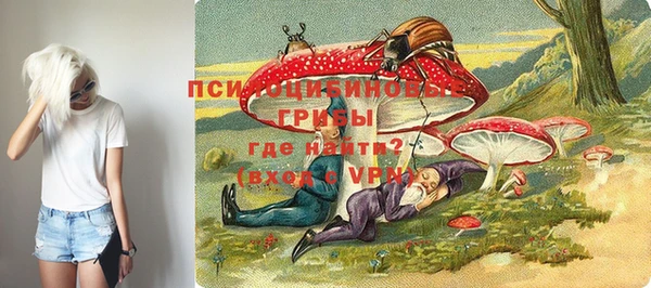 прущие грибы Зеленодольск