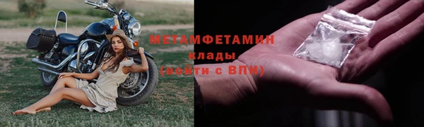 прущие грибы Зеленодольск