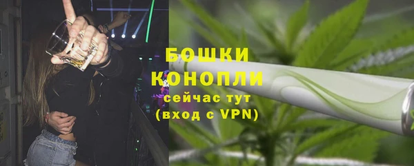 прущие грибы Зеленодольск