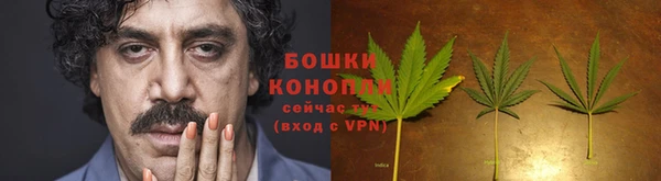 прущие грибы Зеленодольск