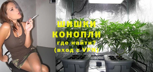 прущие грибы Зеленодольск
