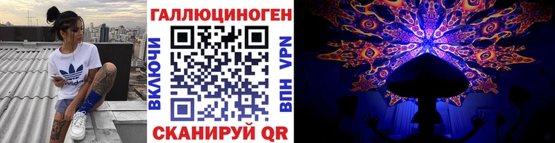 Купить закладки  Дигора  Галлюциногенные грибы Magic Shrooms 
